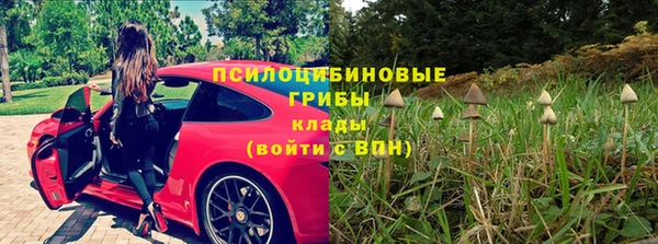 дживик Баксан