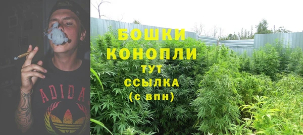 дживик Баксан