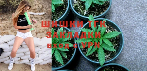 дживик Баксан