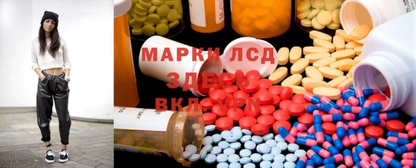 дживик Баксан