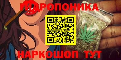 тгк Берёзовский