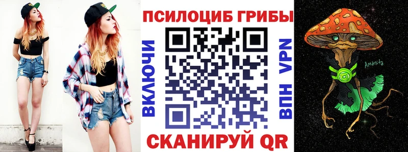 Галлюциногенные грибы Psilocybe  Бор 