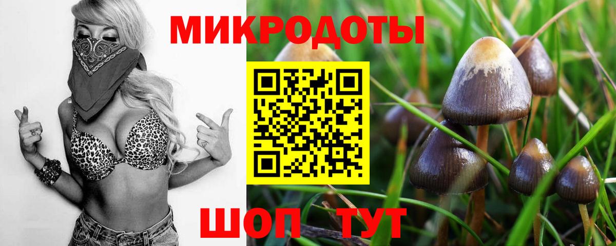 Псилоцибиновые грибы Psilocybine cubensis  Псилоцибиновые грибы Cubensis  Бор  Вход с VPN 