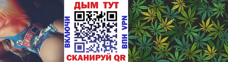 Конопля семена  магазин    MEGA онион  Бор 